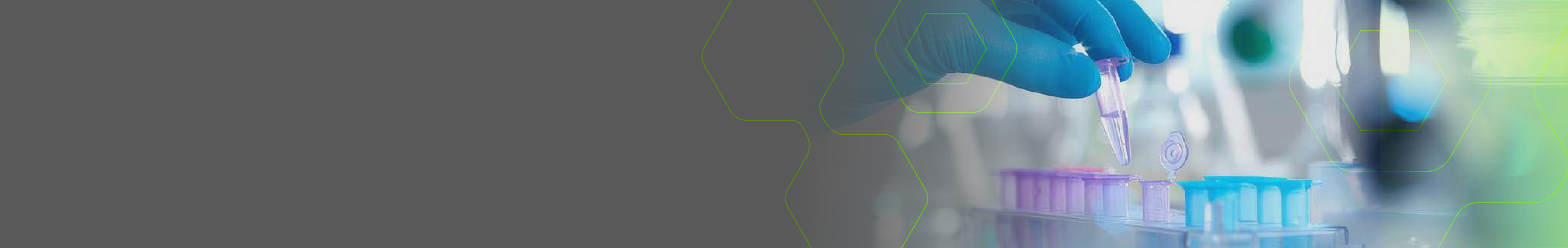 Bio Specialised Experiences (1)